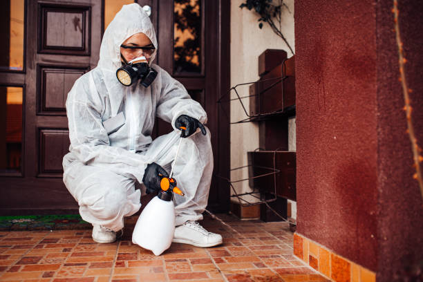 Reliable Cockroach Control contractor in Hazel Crest, IL by Nex Pest Control