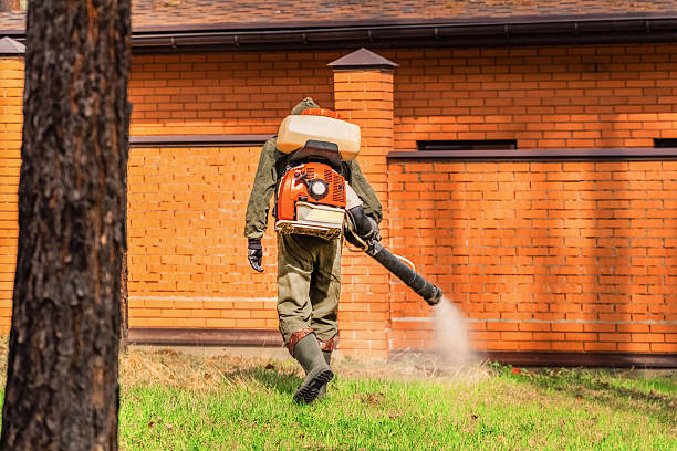 Top rated local Cockroach Control specialists in Hazel Crest, IL